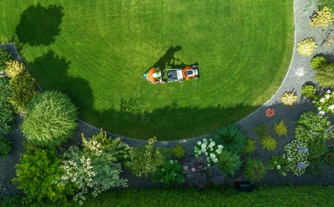 Professional lawn mowing service