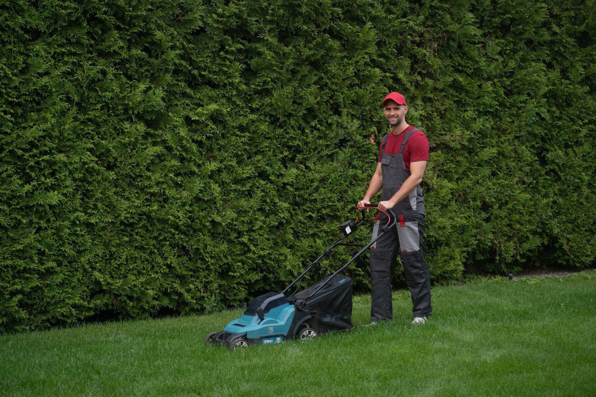 Professional lawn care testimonials