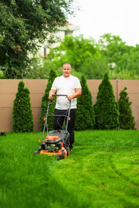 Lawn maintenance plans