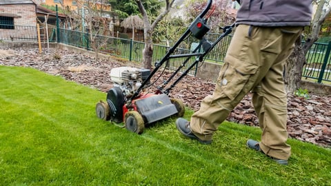 Professional lawn edging and trimming