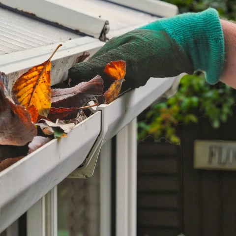 Professional gutter cleaning service with gloved hand removing leaves